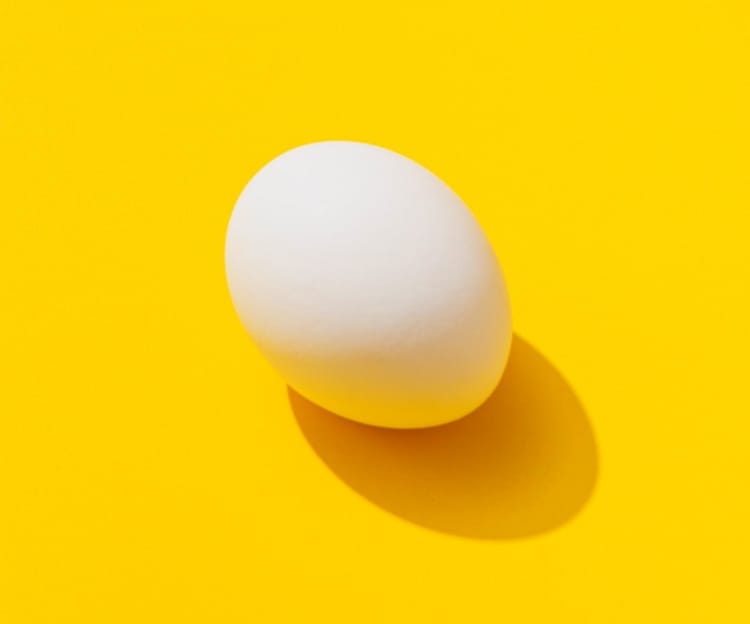 egg with yellow backdrop